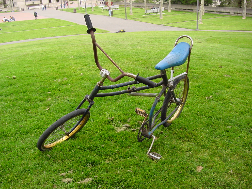 swing bicycle