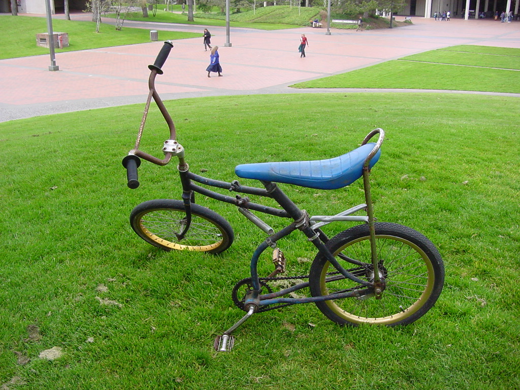 swing bicycle